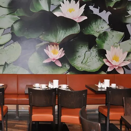 Maeuerle Hotel Lindau (Bodensee)