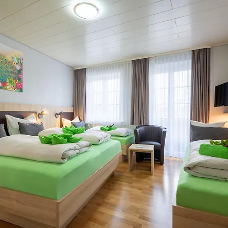 Hotel Maeuerle